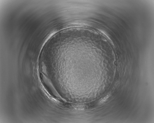 X0000059830899200510211210