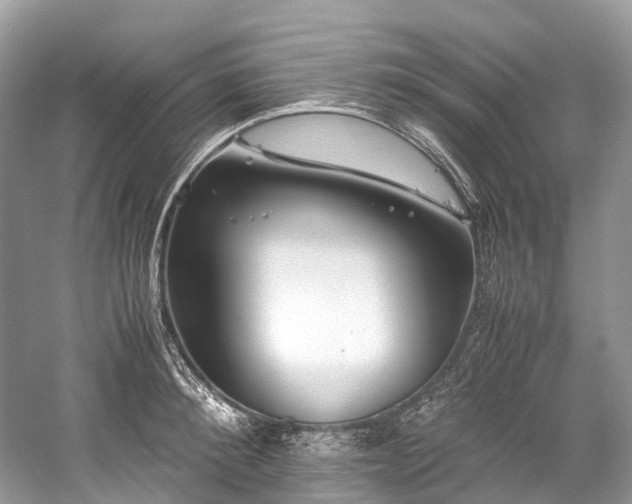 X0000059830900200510211210