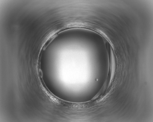 X0000059830901200510211210