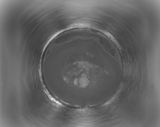 X0000059830904200510211210