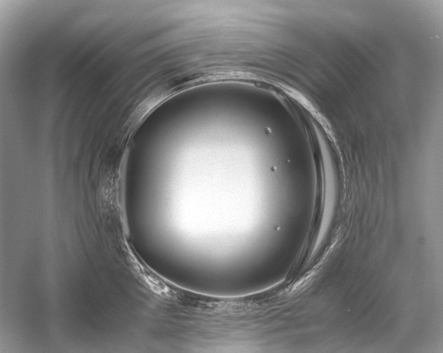 X0000059830905200510211210