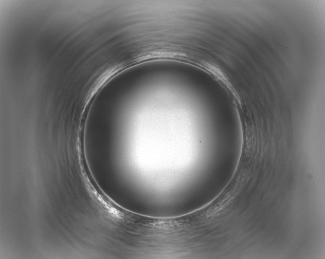 X0000059830906200510211210