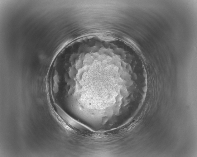 X0000059830907200510211210