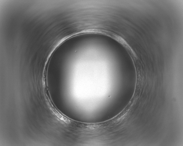 X0000059830908200510211210