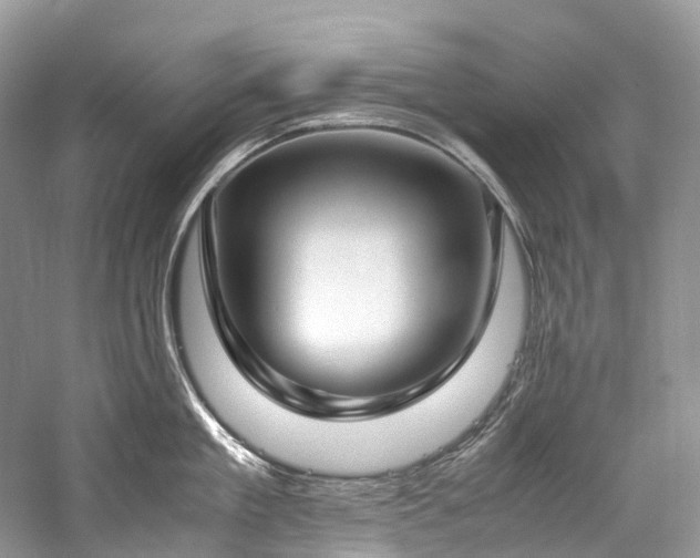 X0000059830909200510211210