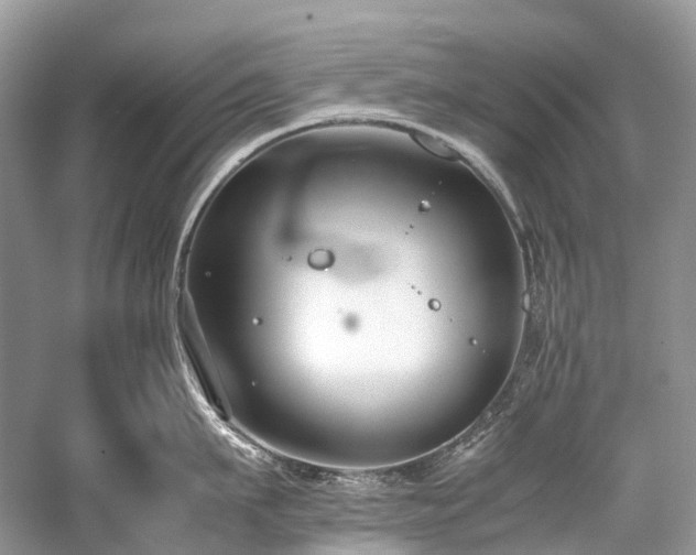 X0000059830911200510211210