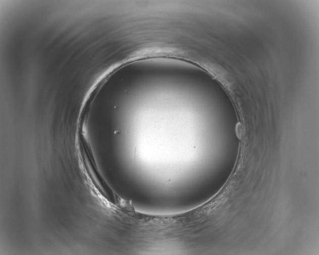 X0000059830912200510211210