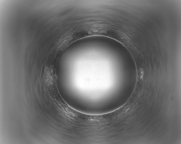 X0000059830915200510211209