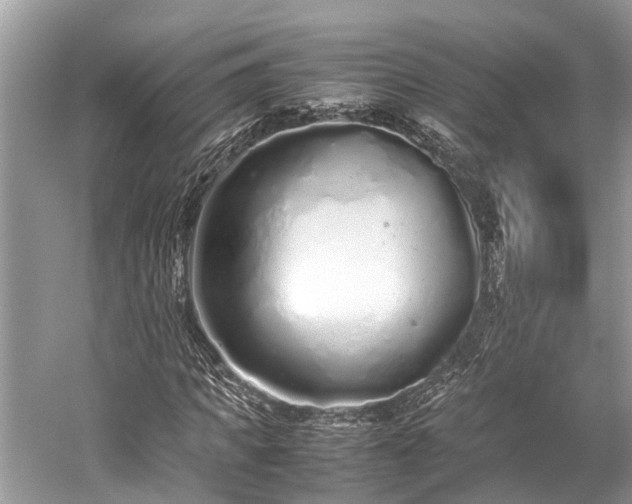 X0000059830917200510211209