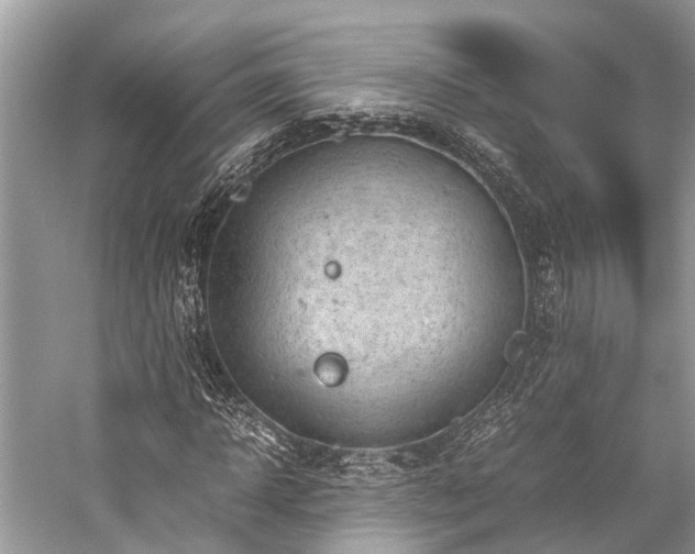 X0000059830918200510211209