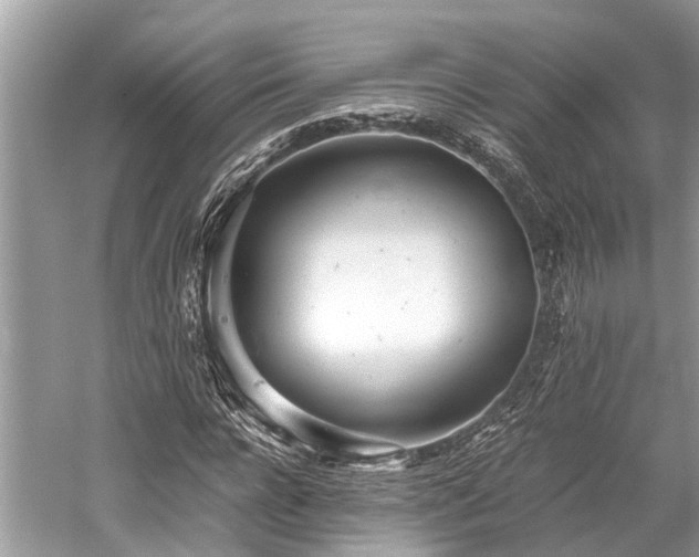 X0000059830920200510211209