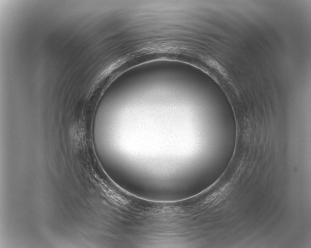 X0000059830922200510211209