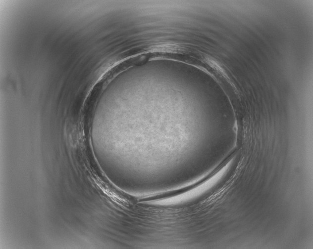 X0000059830923200510211209