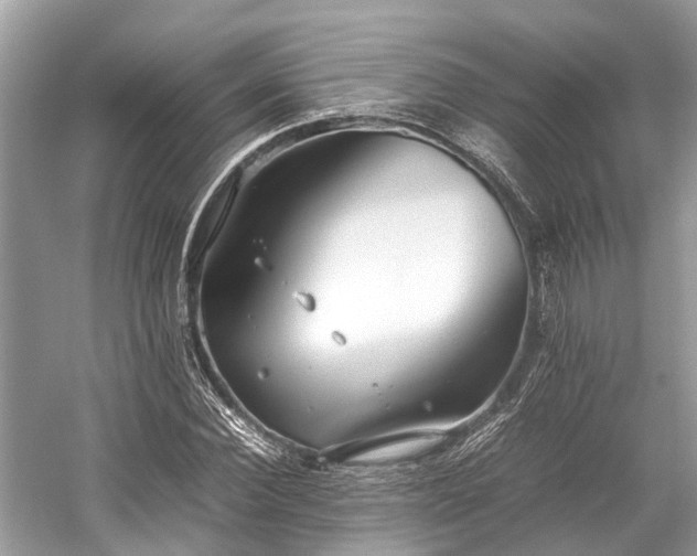 X0000059830924200510211209