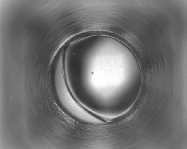 X0000059830926200510211209