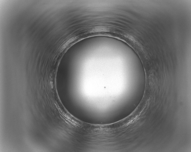 X0000059830929200510211209