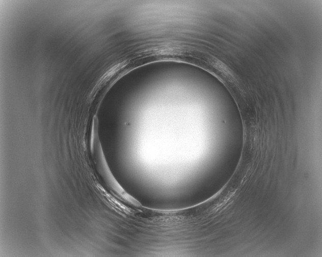 X0000059830930200510211209