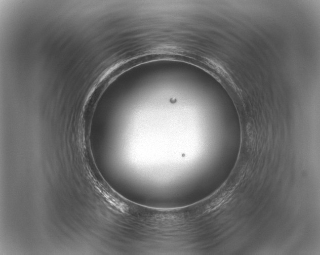 X0000059830931200510211209