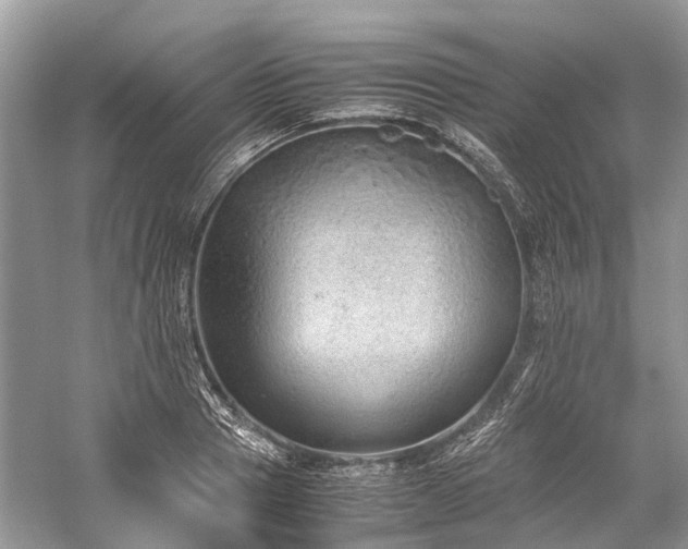 X0000059830937200510211209