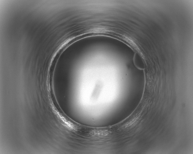 X0000059830939200510211209