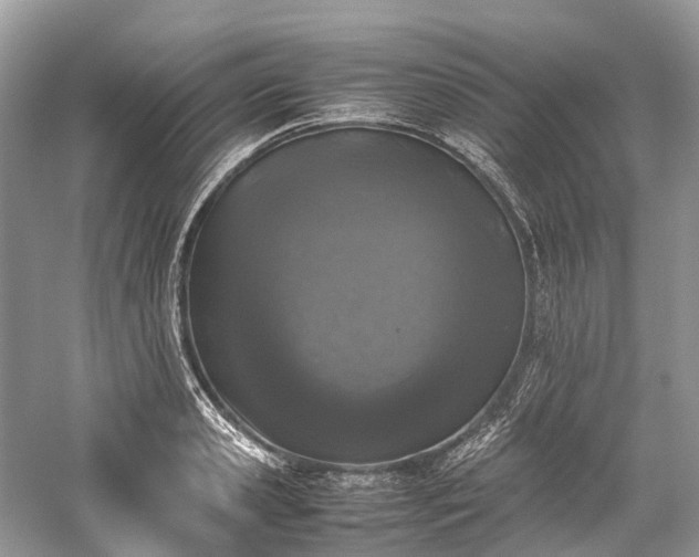 X0000059830941200510211209