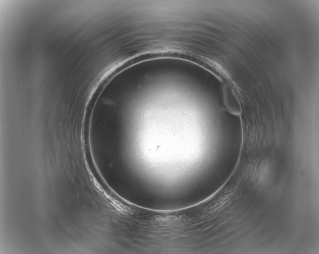 X0000059830943200510211209