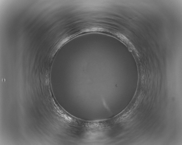 X0000059830945200510211209