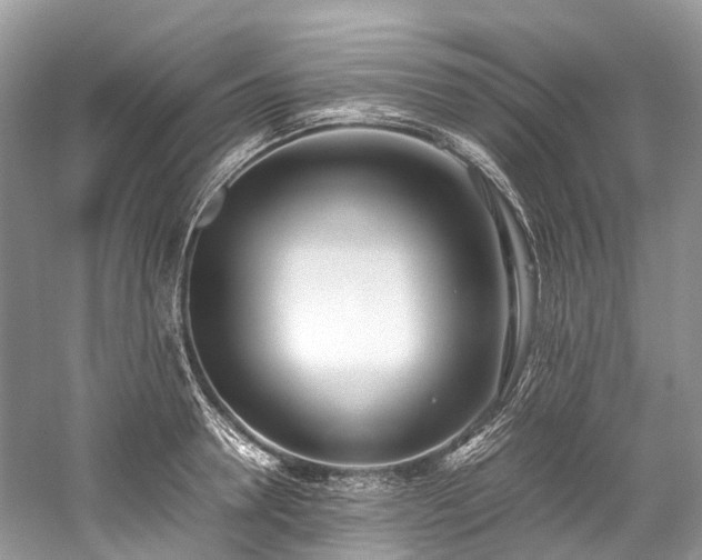 X0000059830946200510211209