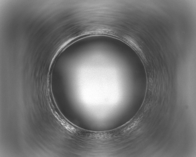 X0000059830948200510211209