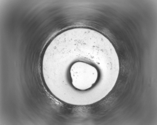 X0000059830950200510211209