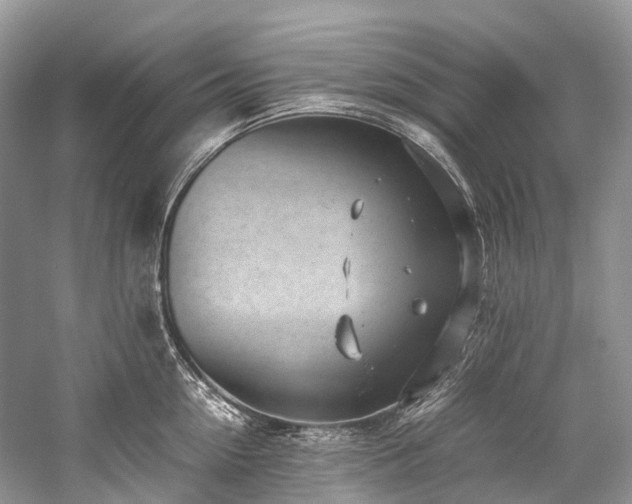 X0000059830954200510211209