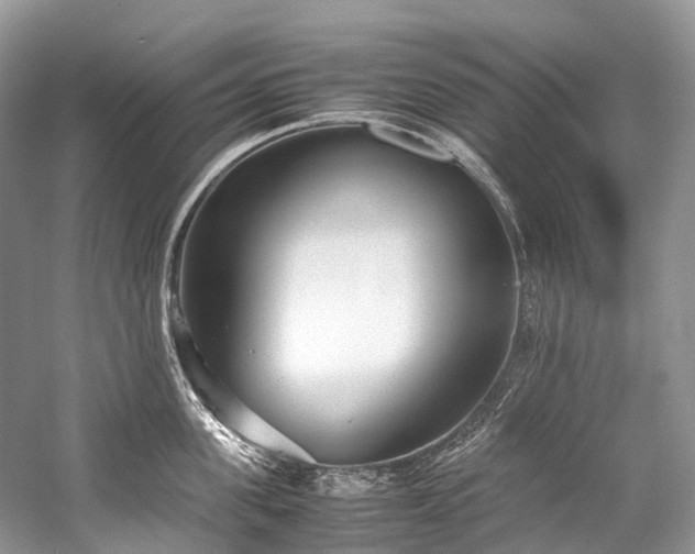 X0000059830955200510211209