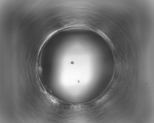 X0000059830956200510211209