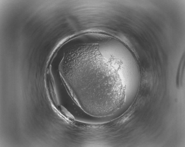 X0000059830958200510211209