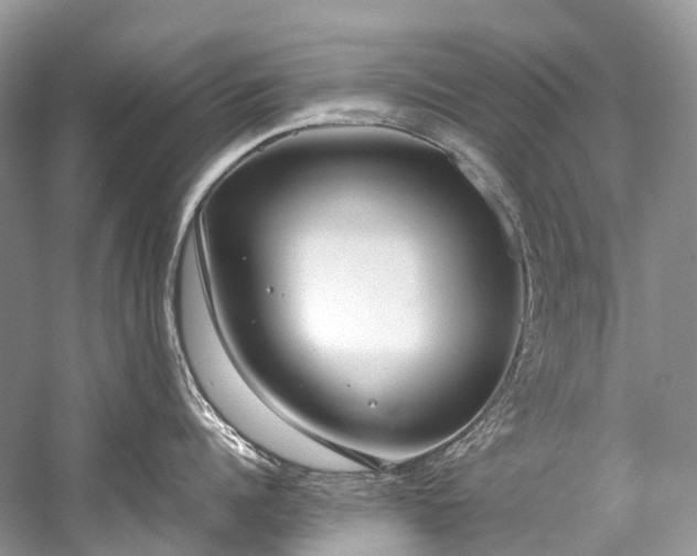 X0000059830960200510211210