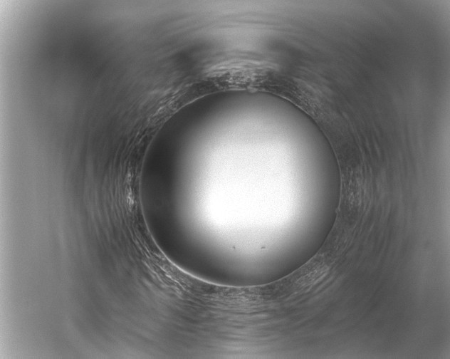 X0000059830962200510211209