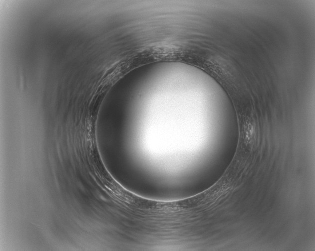 X0000059830964200510211209