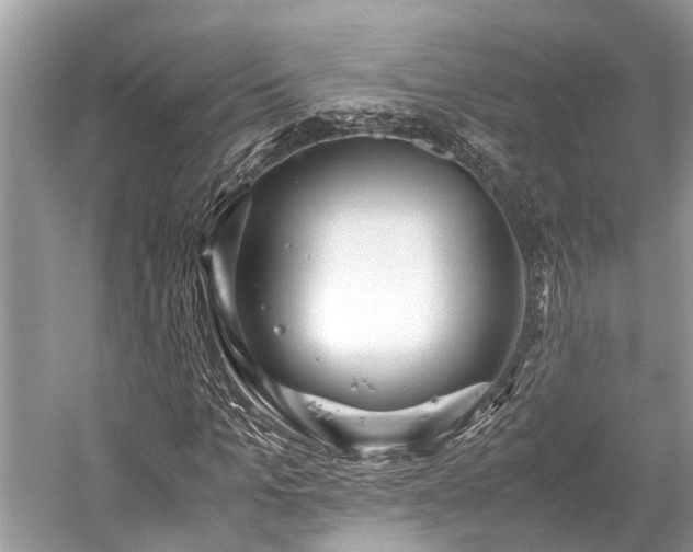 X0000059830965200510211209