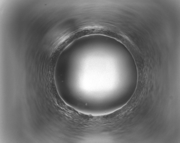 X0000059830967200510211209