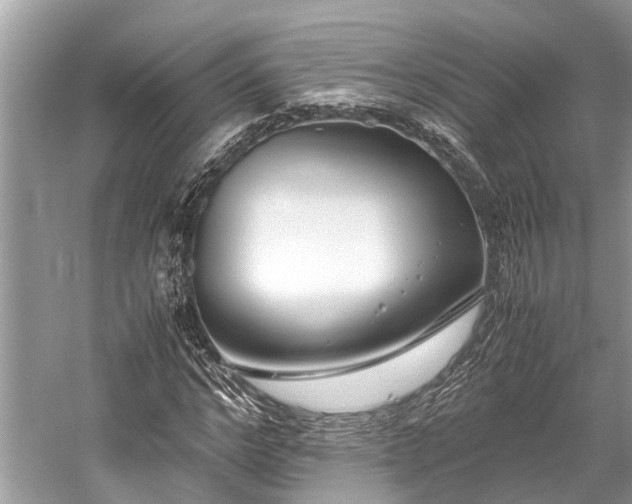 X0000059830968200510211209