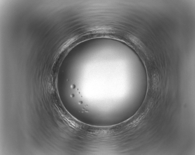 X0000059830970200510211209