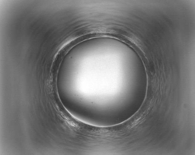 X0000059830971200510211209