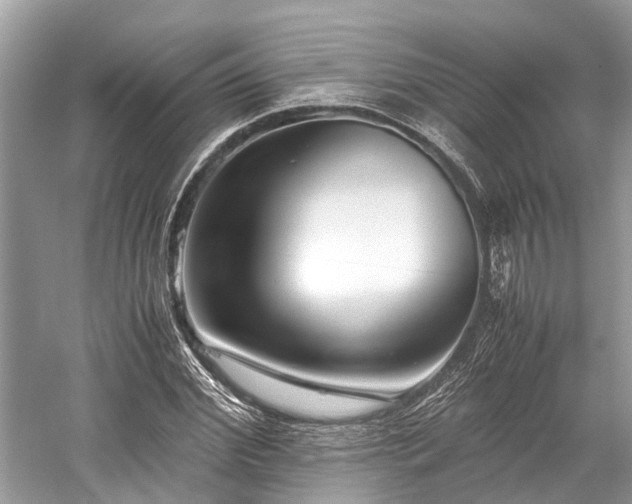 X0000059830972200510211208