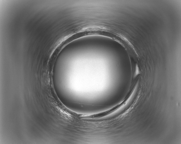 X0000059830973200510211208