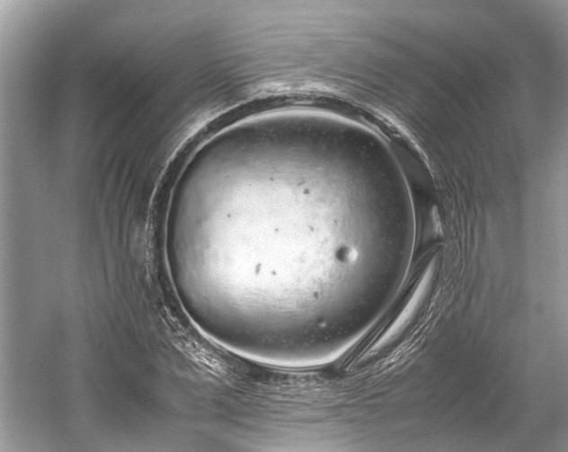 X0000059830975200510211208