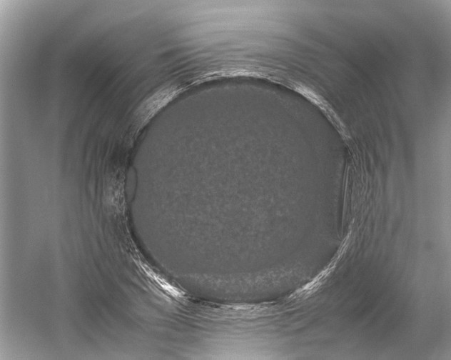 X0000059830977200510211208