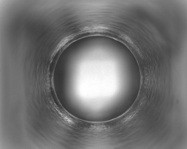 X0000059830978200510211208