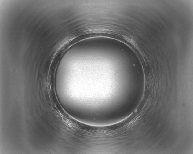 X0000059830979200510211208