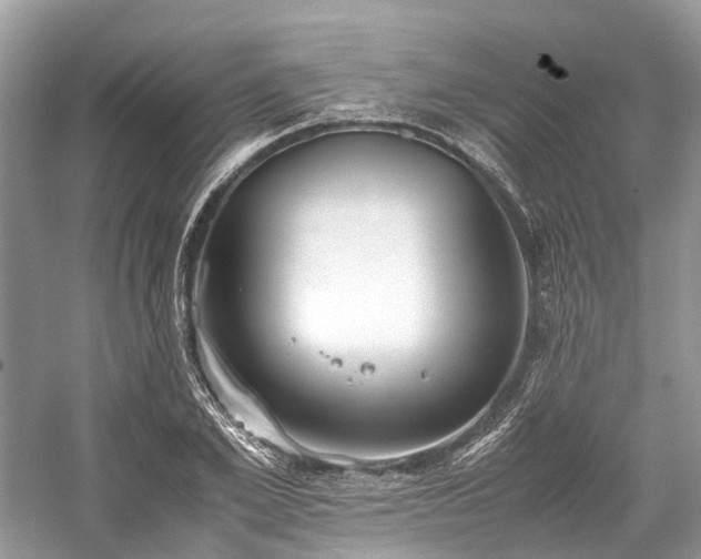 X0000059830981200510211208