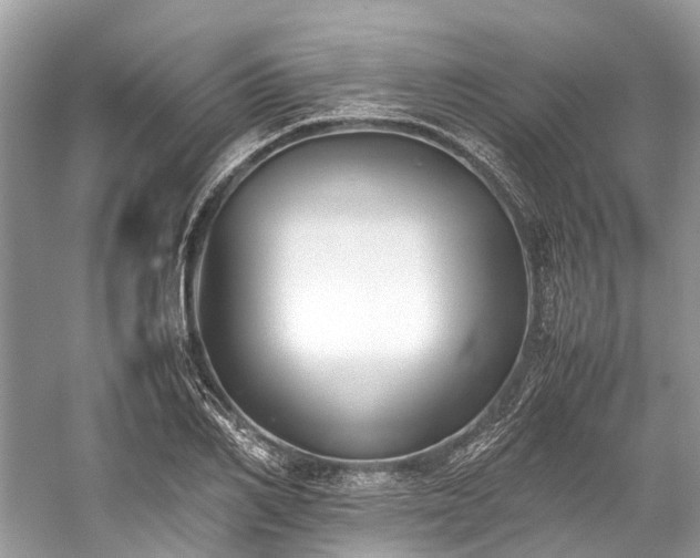 X0000059830982200510211208